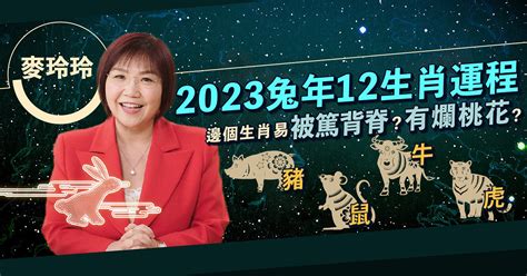 2023風水佈局麥玲玲|【2023兔年運程】麥玲玲2023年兔年九宮飛星圖：財。